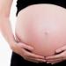 Какие выплаты полагаются неработающим беременным?